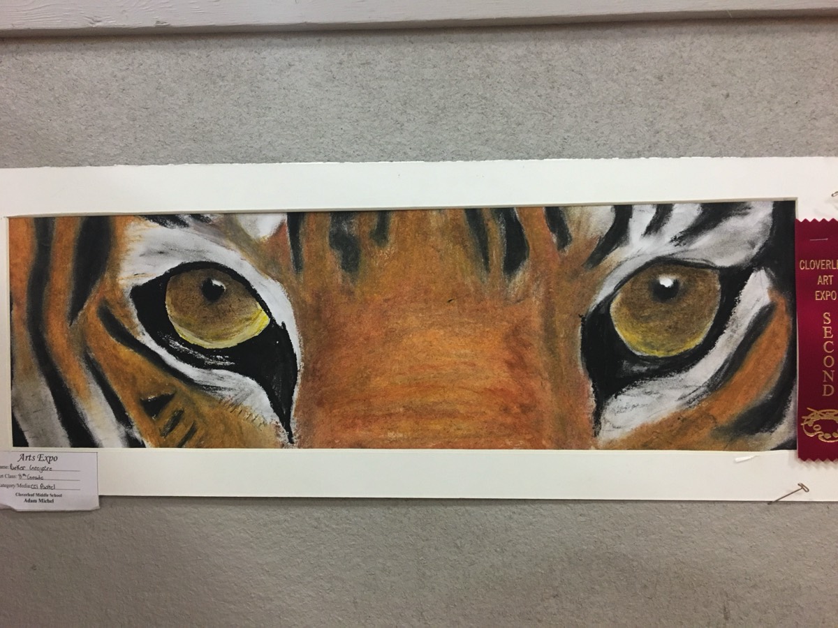 Animal Eye | Middle School Art